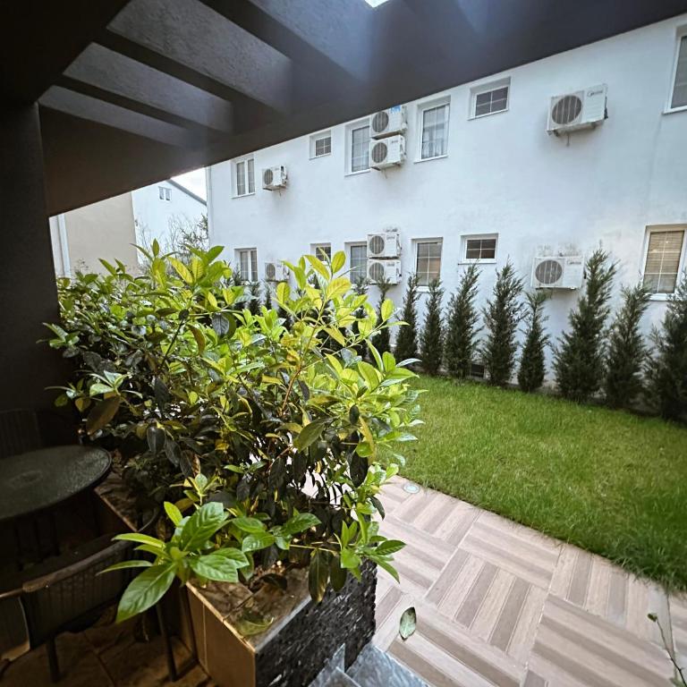 Viola Hotel Budva - One-Bedroom Apartment with Garden View - 10