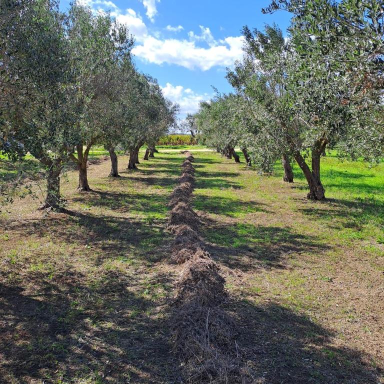 CasaAmena - Appartamento con 2 Camere da Letto - 18