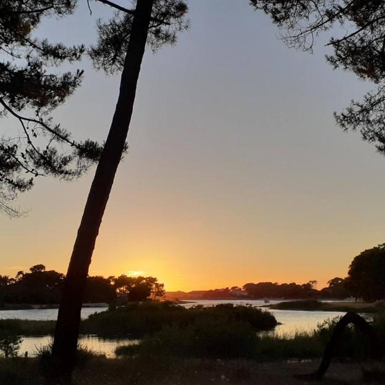 Les Pibales - T2 vue courant à 1.8 km de l'Océan - Appartement 1 Chambre - 11