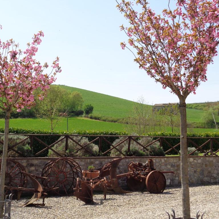 La Locanda Dell'olmo - Appartamento - Piano Terra - 38