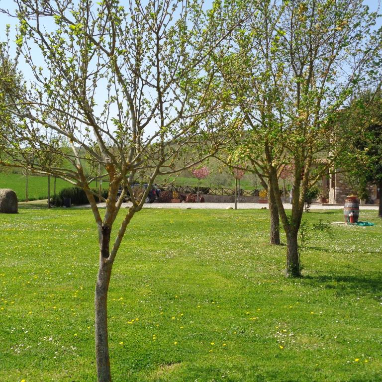 La Locanda Dell'olmo - Appartamento - Piano Terra - 39