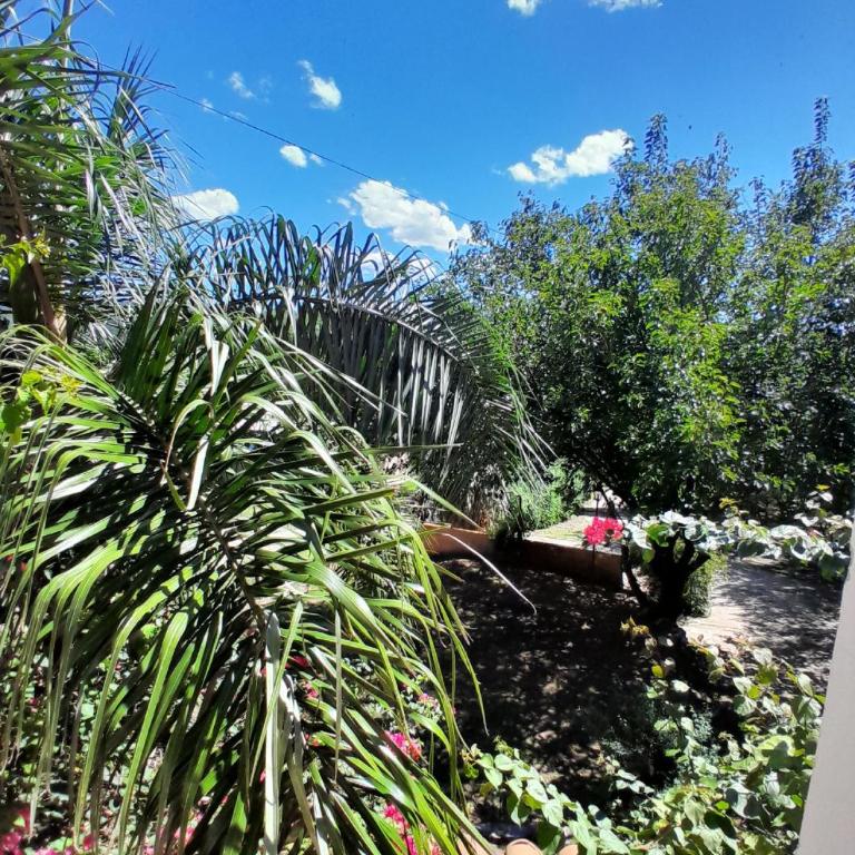 Casa La Naranja - Single Room - 11