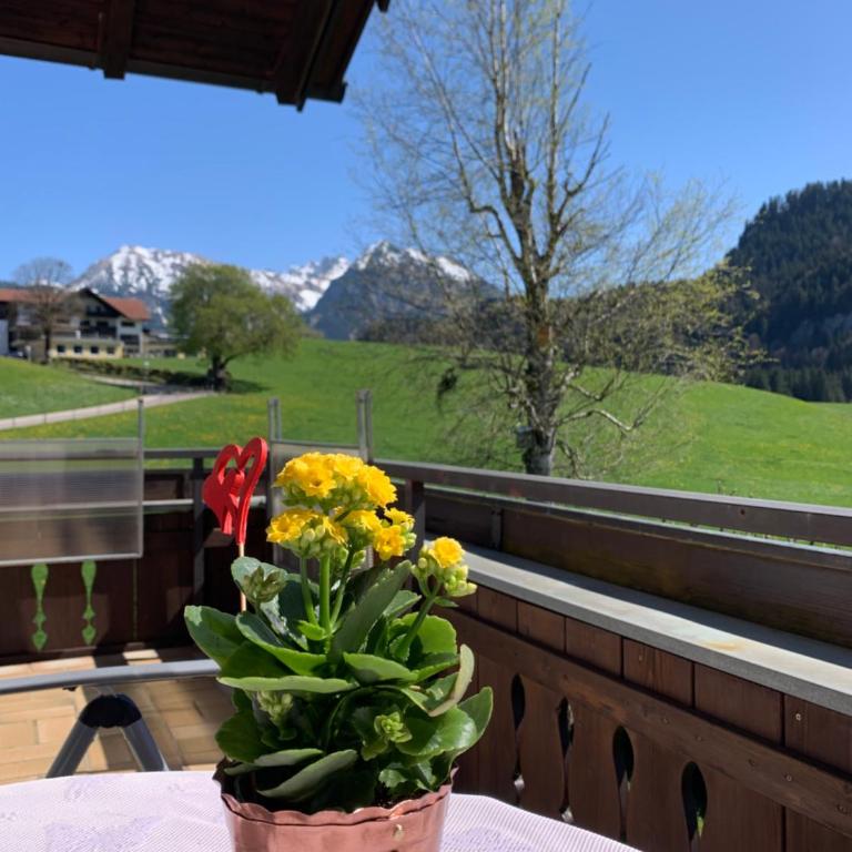 Gästehaus im Wiesengrund - Apartment mit 1 Schlafzimmer, Balkon und Bergblick - 2