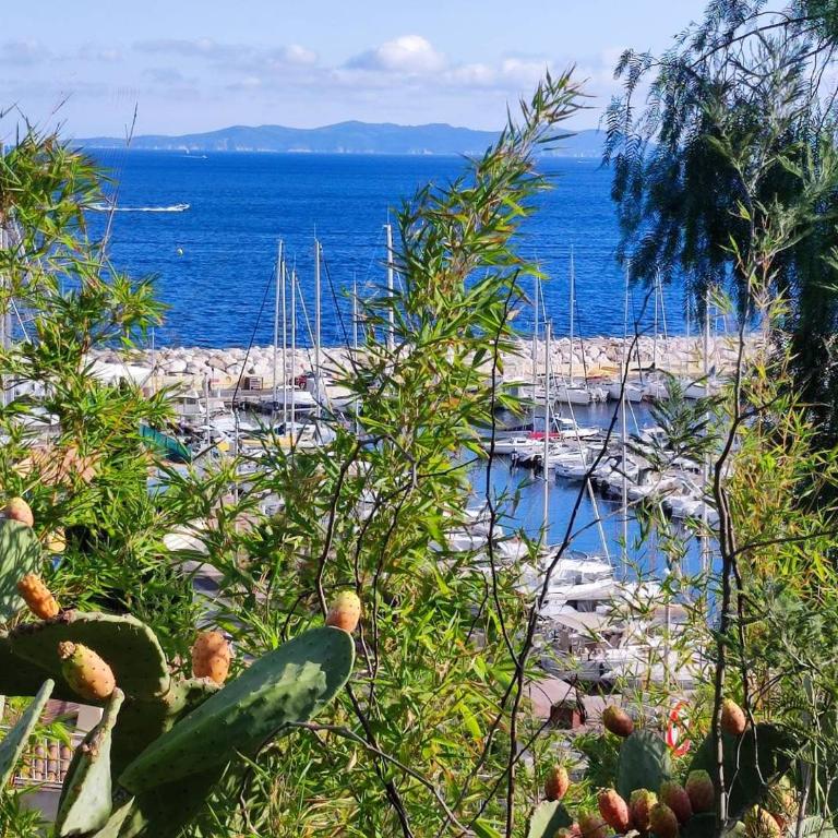 T2 centre ville/Plage/Commerces/Clim - Apartamento de 1 dormitorio con balcón - 11