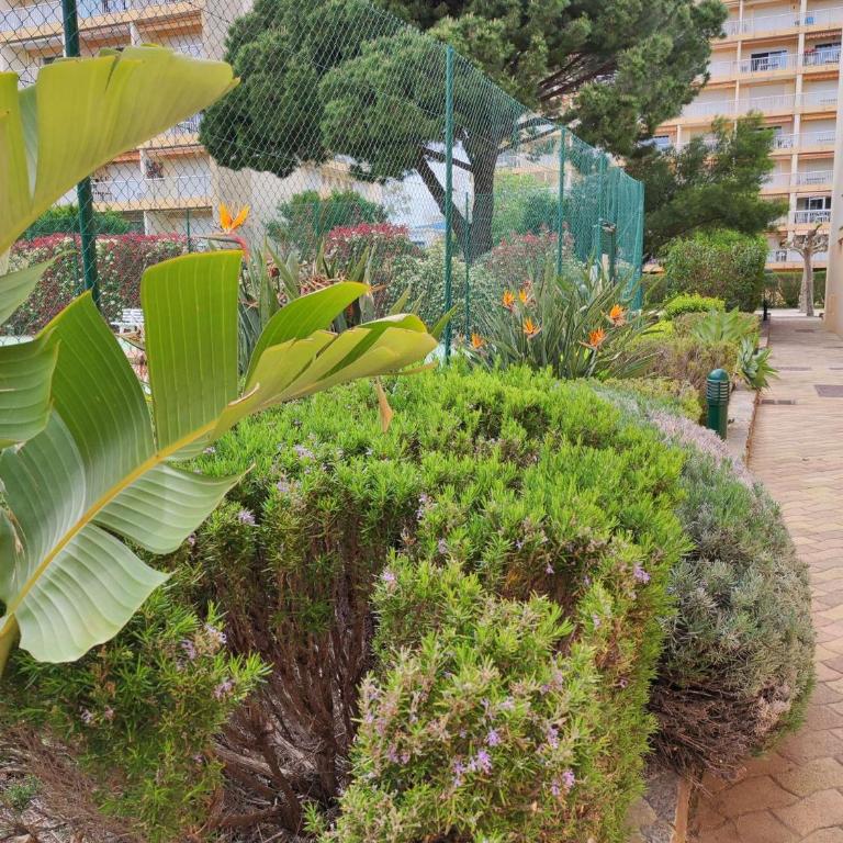 T2- Piscine- Commerces- Plages- Clim - Appartamento con 1 Camera da Letto con Balcone e Vista Città - 12