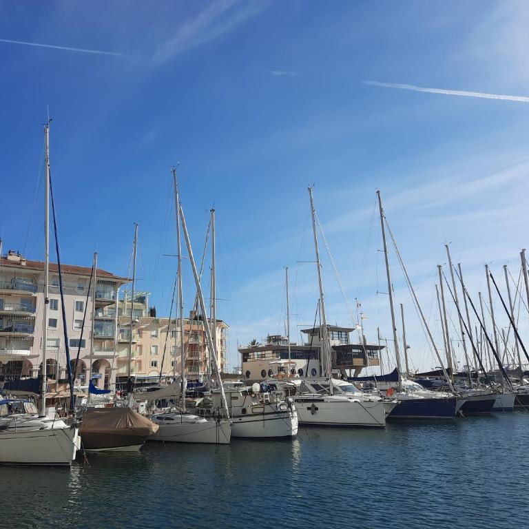 Coeur Marina climatisé terrasse parking - Apartamento de 1 dormitorio - 26