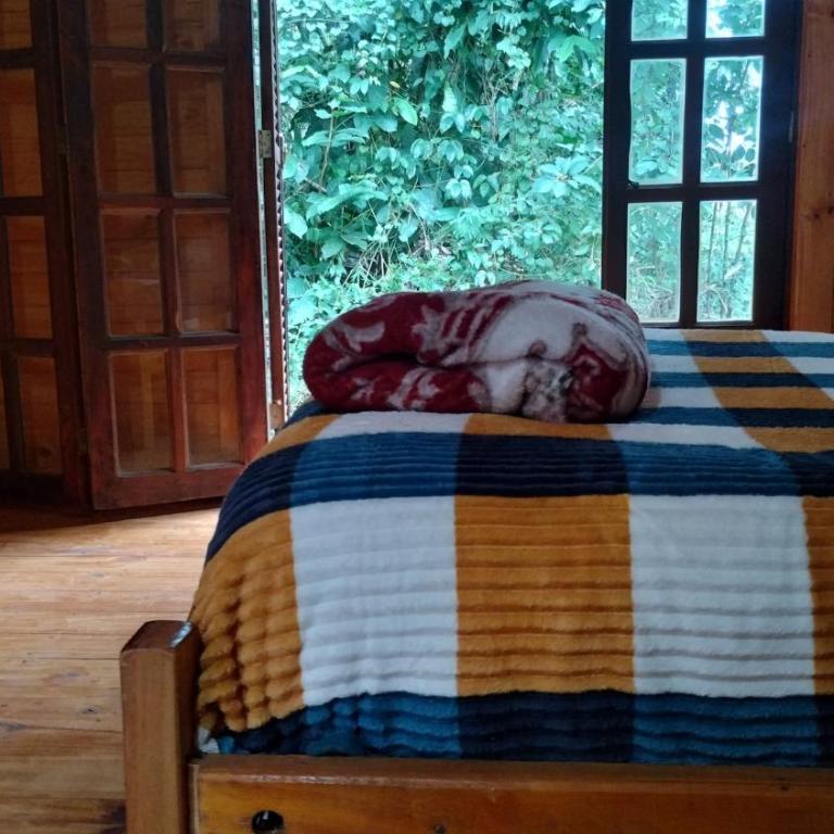 Inauguración de Cabaña en Puerto Iguazú - Casa de 2 dormitorios - 21
