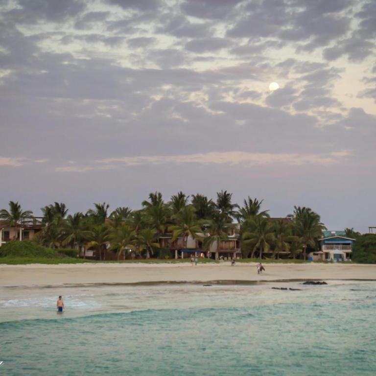 The Isabela Beach House - Double Room - 4
