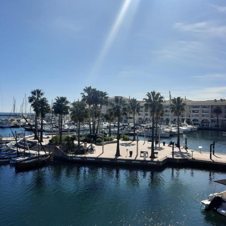 Coeur Marina climatisé terrasse parking - Apartamento de 1 dormitorio - 25