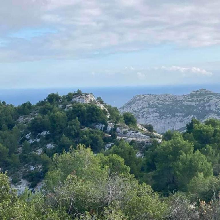 Villa close to Calanques - Casa de 2 dormitorios - 14