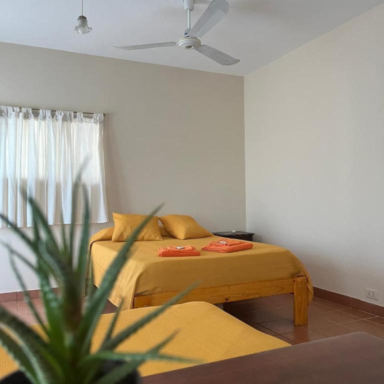 Casa Lavanda - Apartamento de 1 dormitorio - 1