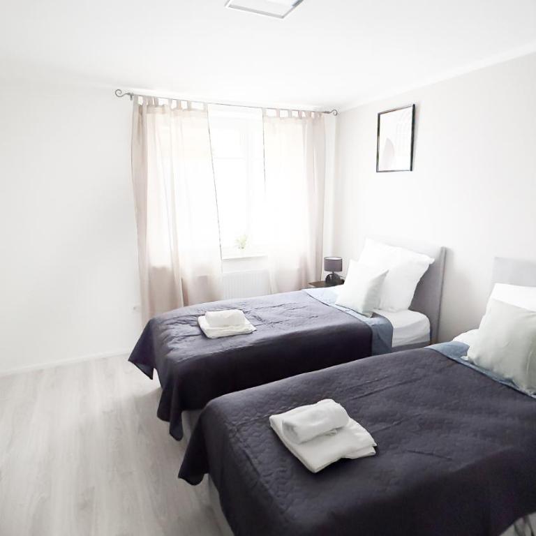 Nahe Rathaus & Dom - 1,5-, 2- oder 3 ZKB-Apartments im Zentrum - Apartamento Estándar de 3 dormitorios - 19