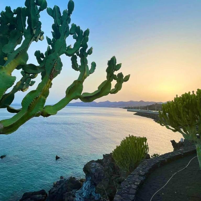 Vista al Mar - sea view apartment by JK Lanzarote - Apartamento de 2 dormitorios - 20