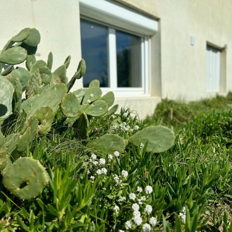 La Gravière, Cozy Studio Wifi & Parking 20M Océan Surf Plage - Studio Apartment - 12