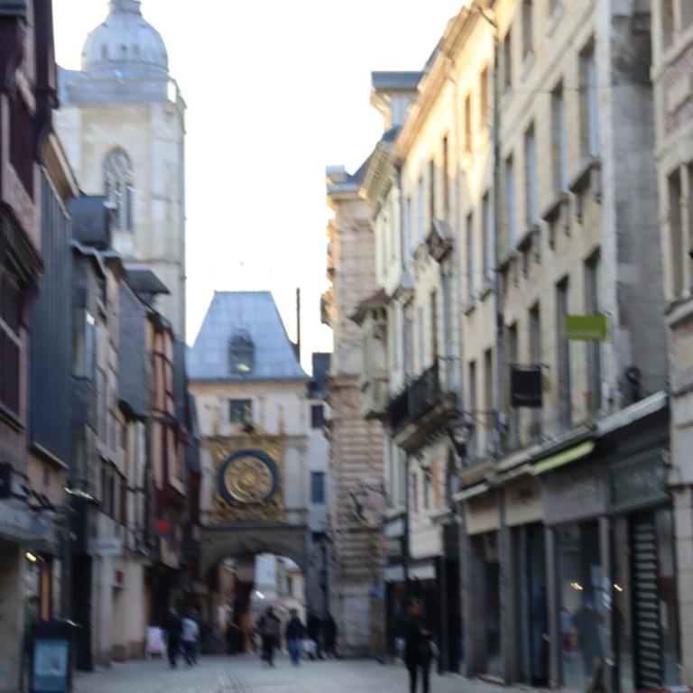 Échappée Urbaine Rouennaise - T2 calme et lumineux a 10 min de la gare - wifi fibre 700 Mb - Apartamento de 1 dormitorio - 39