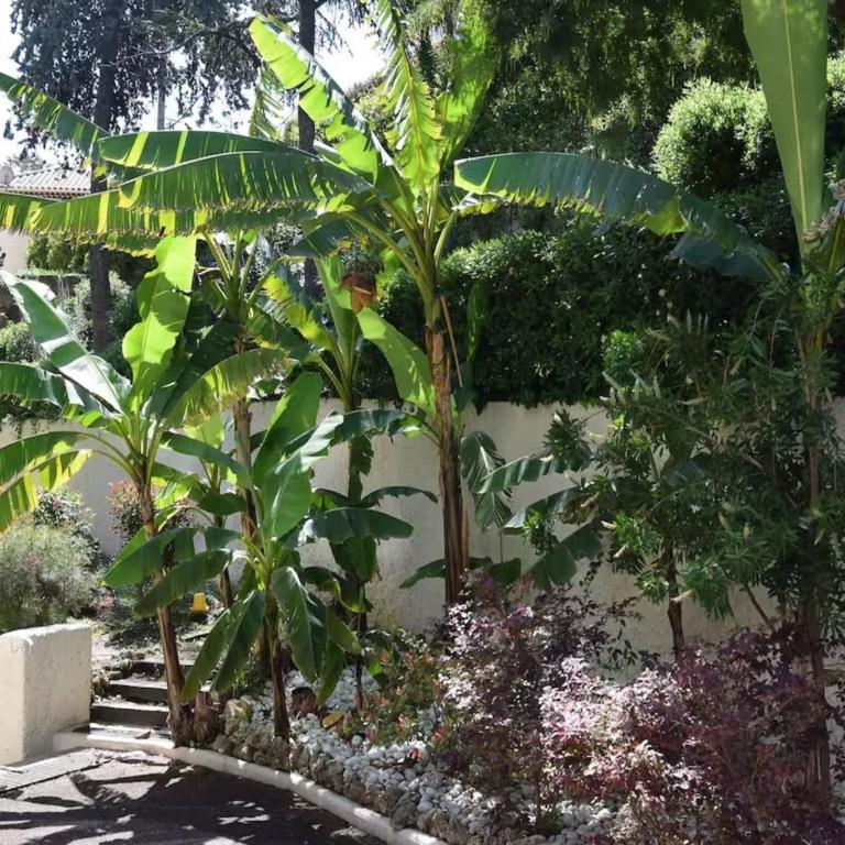 Apartment in Golfe Juan with Sea View - Appartement 1 Chambre - 19