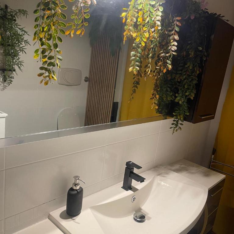 Le Suite del Lungomare Catania - Deluxe Suite with Spa Bath - 17