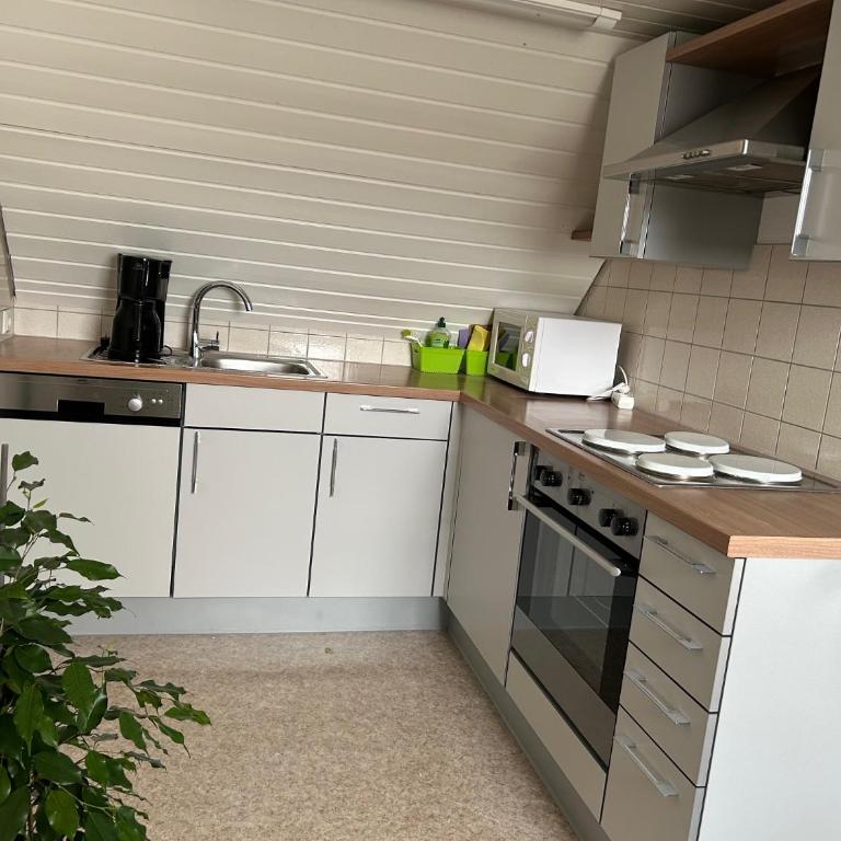 Ferien- und Reiterhof Bareth - Appartamento - 9