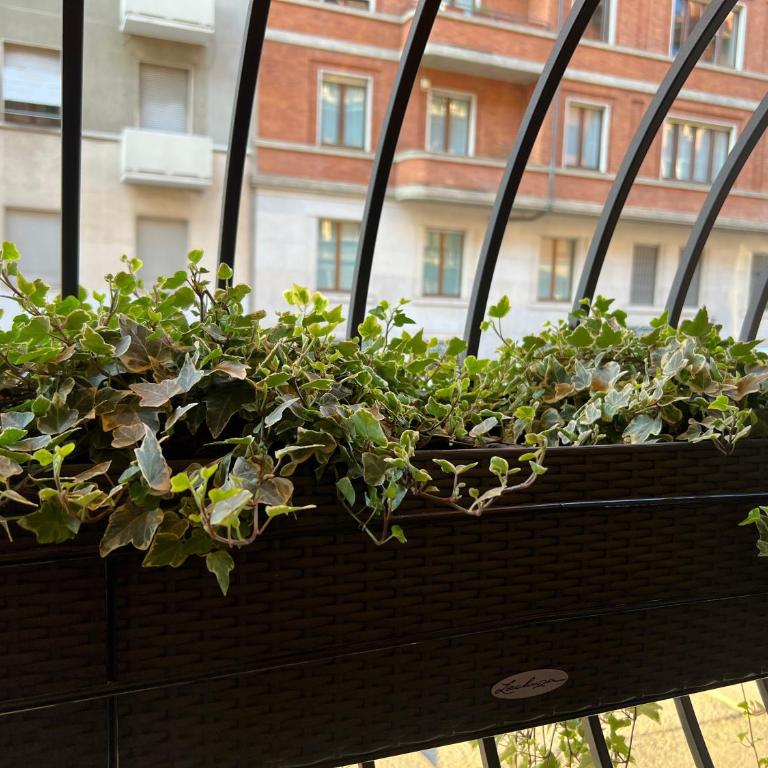Mercadante Suite Central City - Appartamento con 1 Camera da Letto - 26