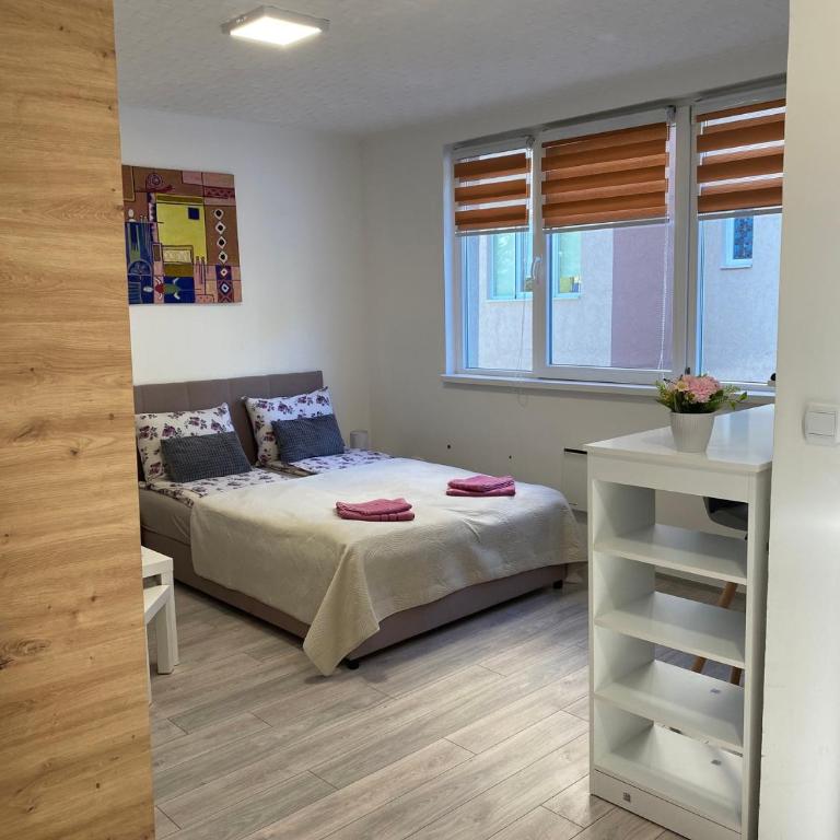 Apartmani Krčmarica 9 - Apartman sa 1 Spavaćom Sobom - 11