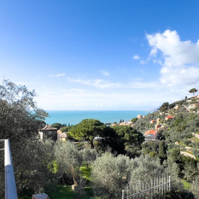 Villa Rosa - Villa - 89