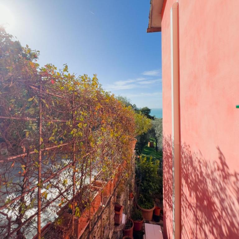 Villa Rosa - Villa - 99