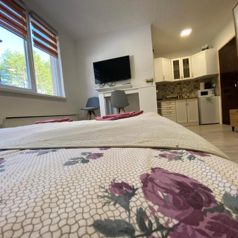 Apartmani Krčmarica 9 - Apartman sa 1 Spavaćom Sobom - 12