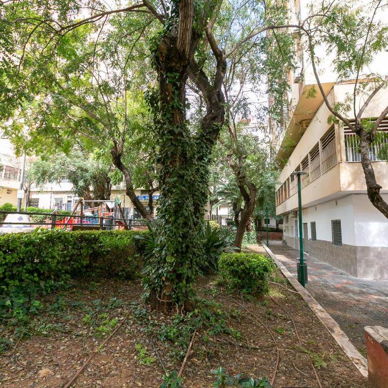 Estudio urbano reformado - Apartamento - Planta baja - 46