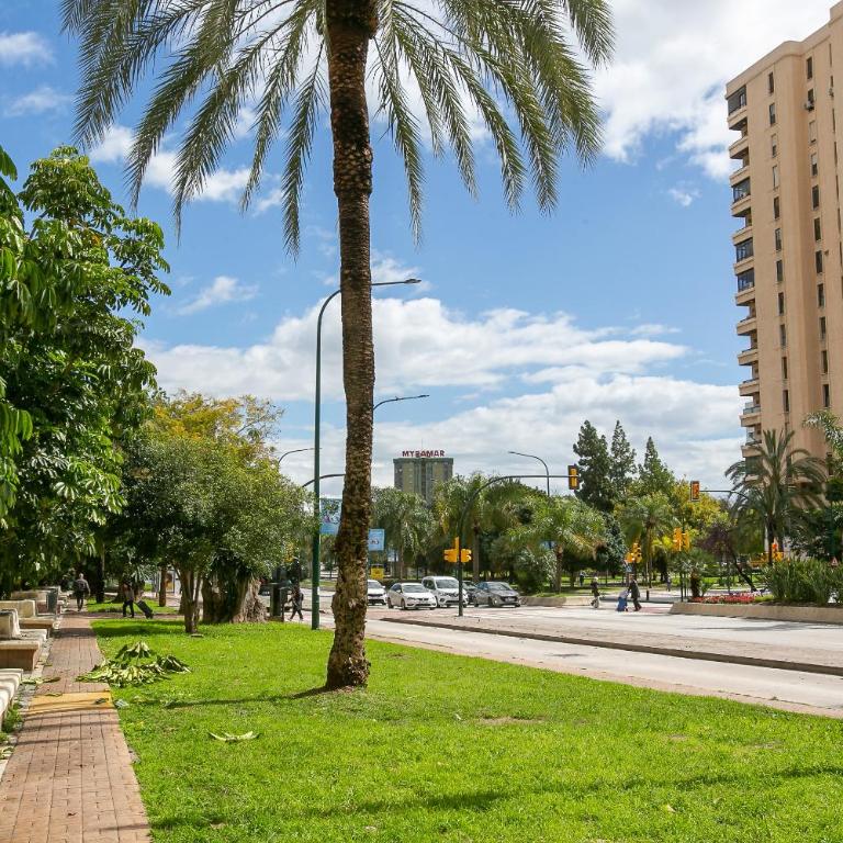 Estudio urbano reformado - Apartamento - Planta baja - 49
