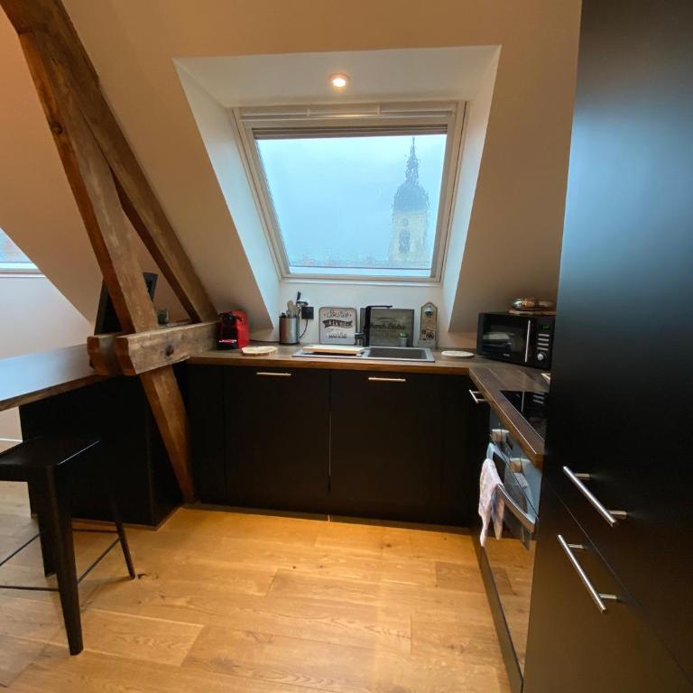 "LE COCON" en HYPERCENTRE PARKING GRATUIT - Appartement 1 Chambre - 15