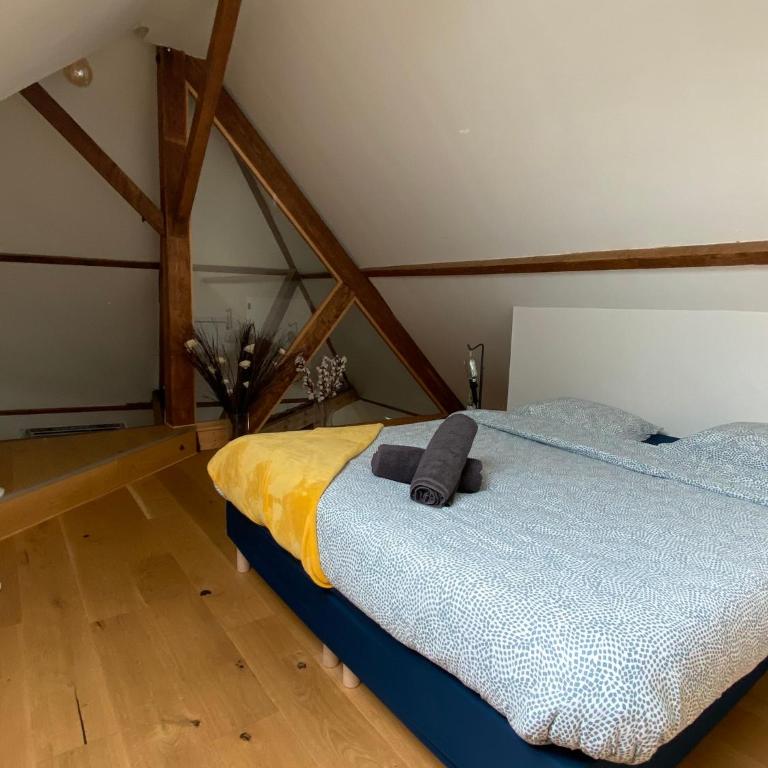 "LE COCON" en HYPERCENTRE PARKING GRATUIT - Appartement 1 Chambre - 18