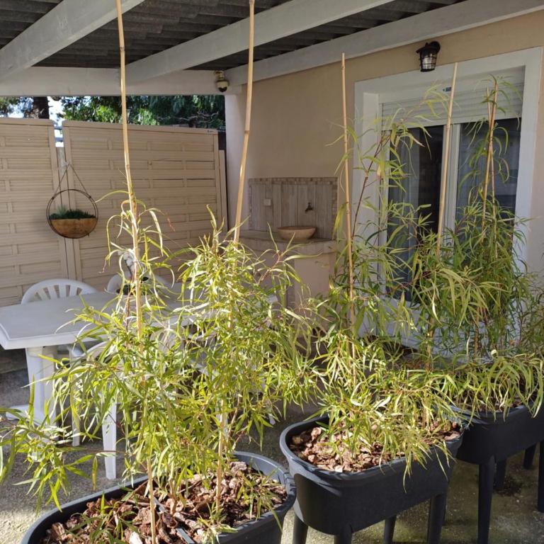 Maisonnette avec pergola - Apartment mit 1 Schlafzimmer - 18