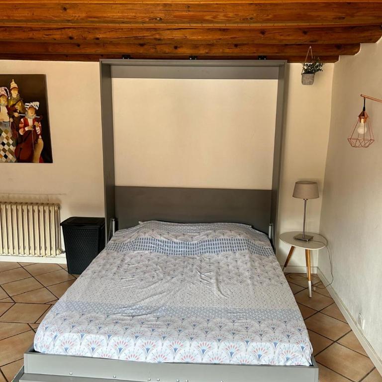 Le République Annecy , cœur de vieille ville - Appartement avec Balcon - 12