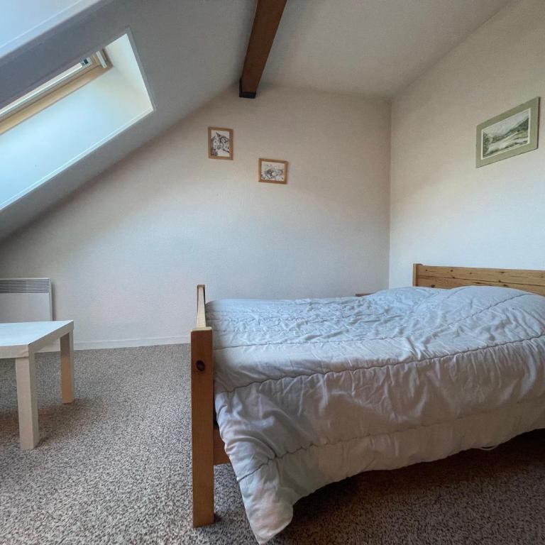 Studio duplex lumineux au centre de Samoëns avec parking - FR-1-624-58 - Studio - 12