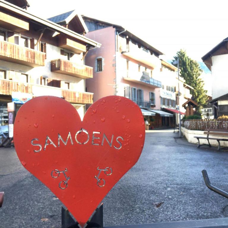 Studio duplex lumineux au centre de Samoëns avec parking - FR-1-624-58 - Studio - 16