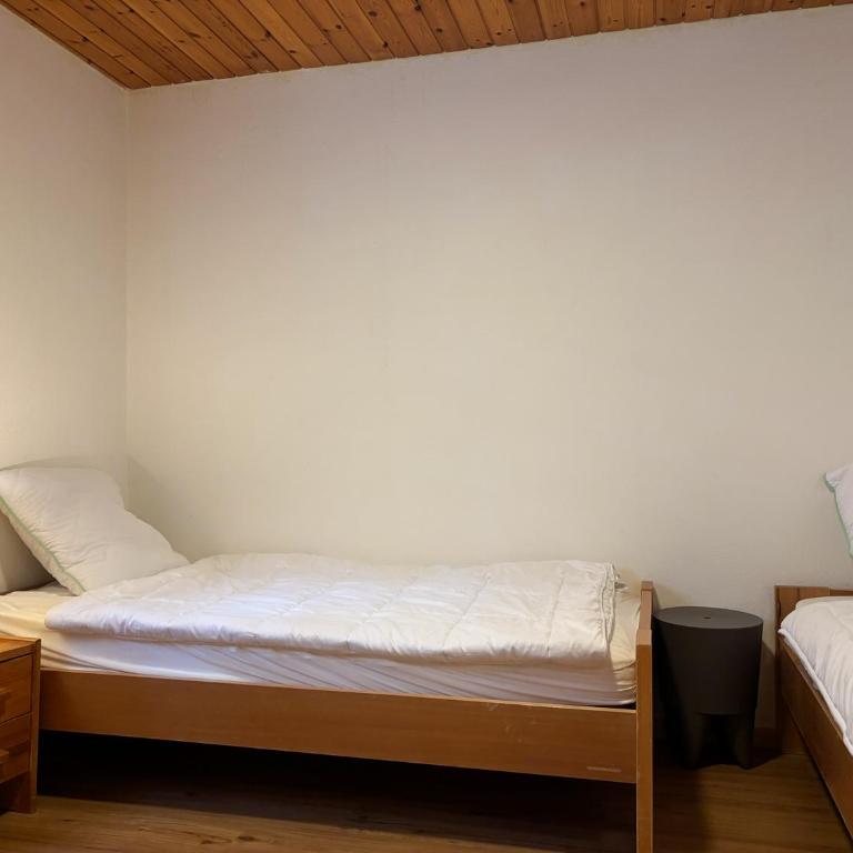 Aletsch Arena - Accommodation 5 minutes from the ski lifts - Apartment mit 2 Schlafzimmern - 8