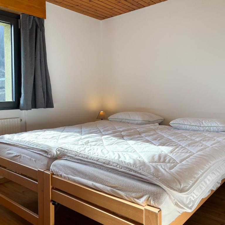 Aletsch Arena - Accommodation 5 minutes from the ski lifts - Apartment mit 2 Schlafzimmern - 7