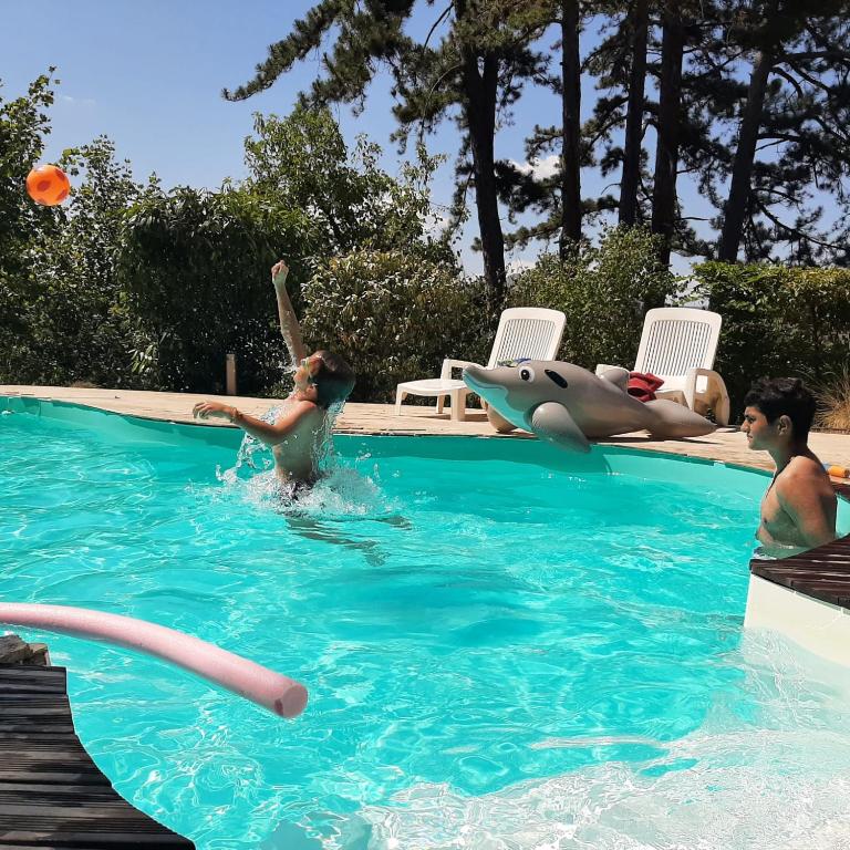 Oasis en Provence, piscine, pinède et vue splendide - Villa avec Piscine Privée - 12