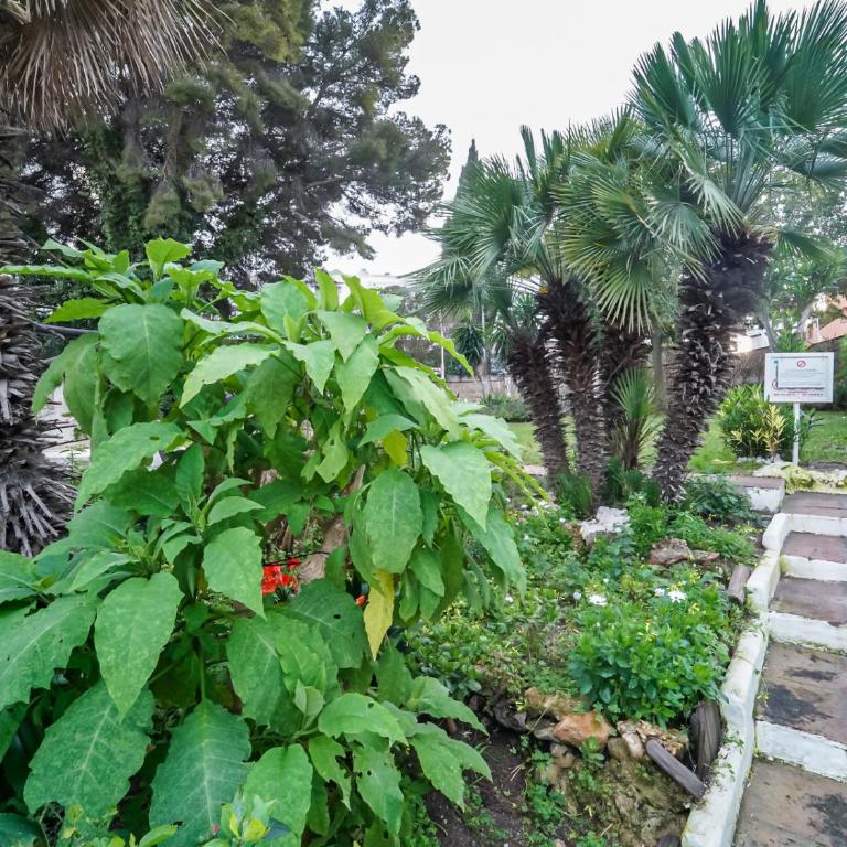 Apartamento Playa La Carihuela con Wi-Fi - Apartamento de 1 dormitorio - 33