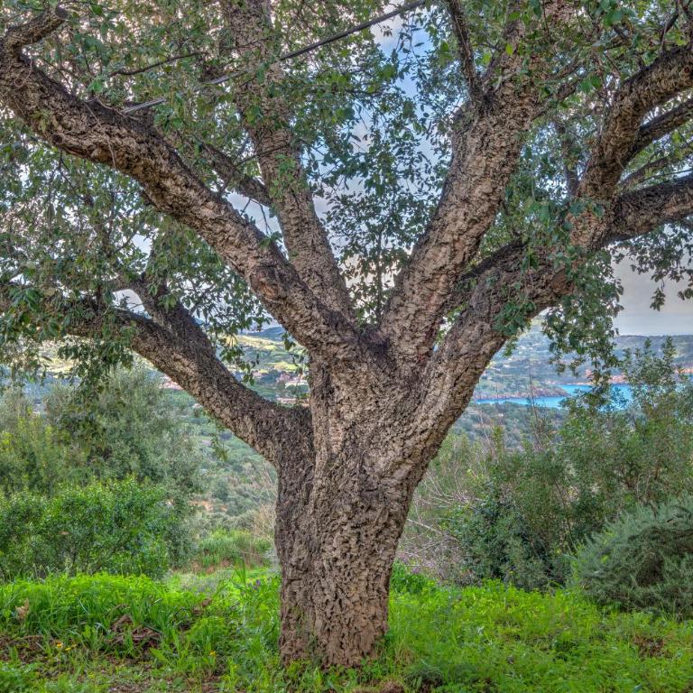 Casa Vignola - Villa con 2 Camere da Letto - 27