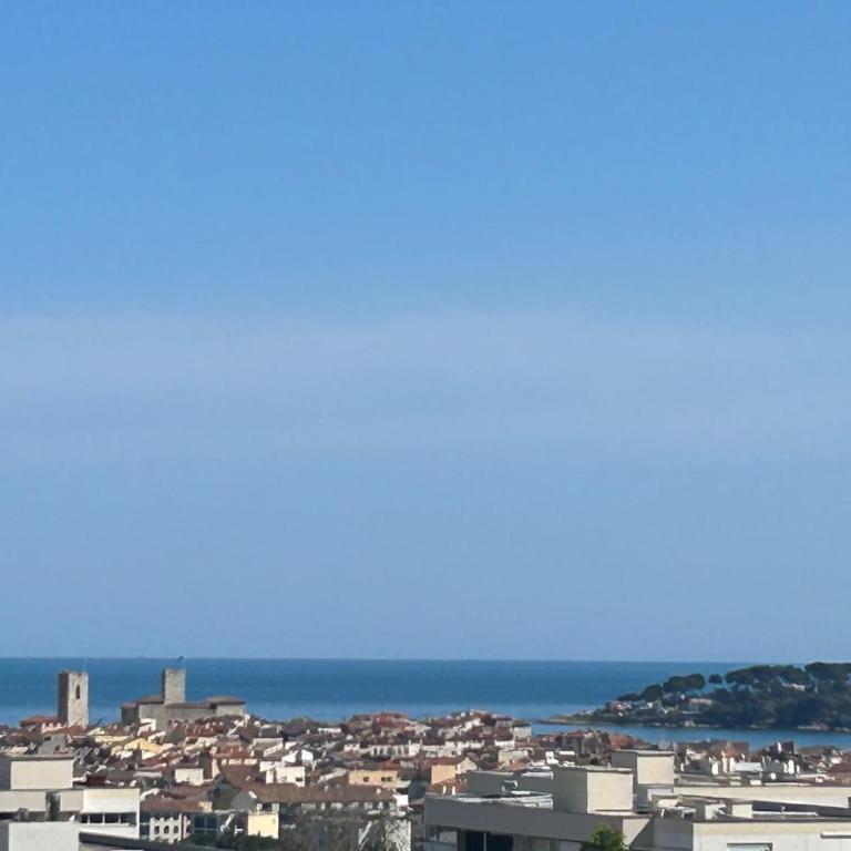 Superbe 2 pièces Antibes vue mer, piscine, parking - Appartamento con 1 Camera da Letto - 28