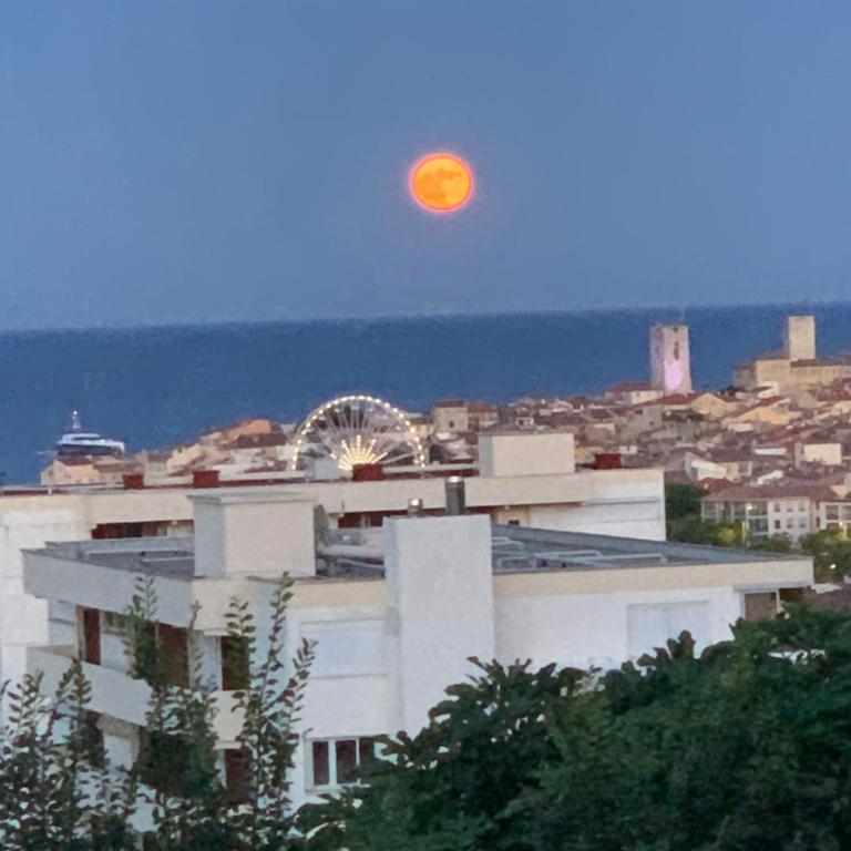 Superbe 2 pièces Antibes vue mer, piscine, parking - Appartamento con 1 Camera da Letto - 25