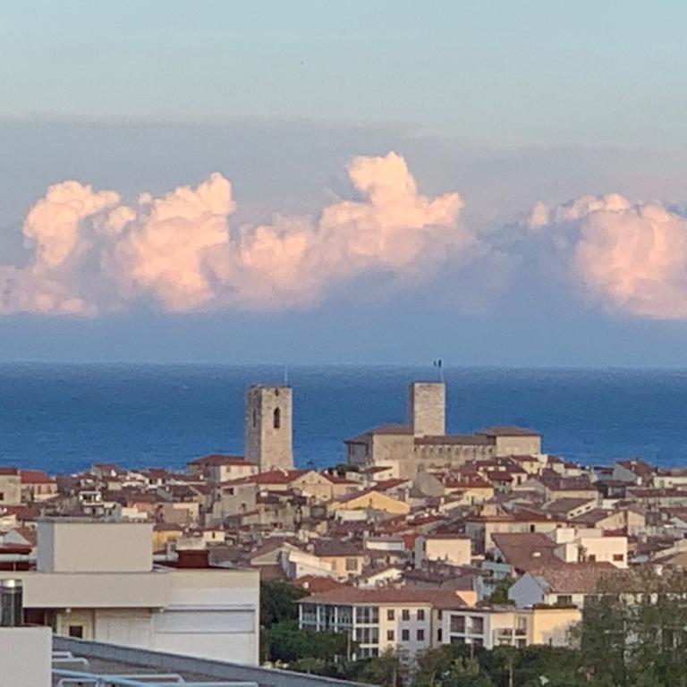 Superbe 2 pièces Antibes vue mer, piscine, parking - Appartamento con 1 Camera da Letto - 26