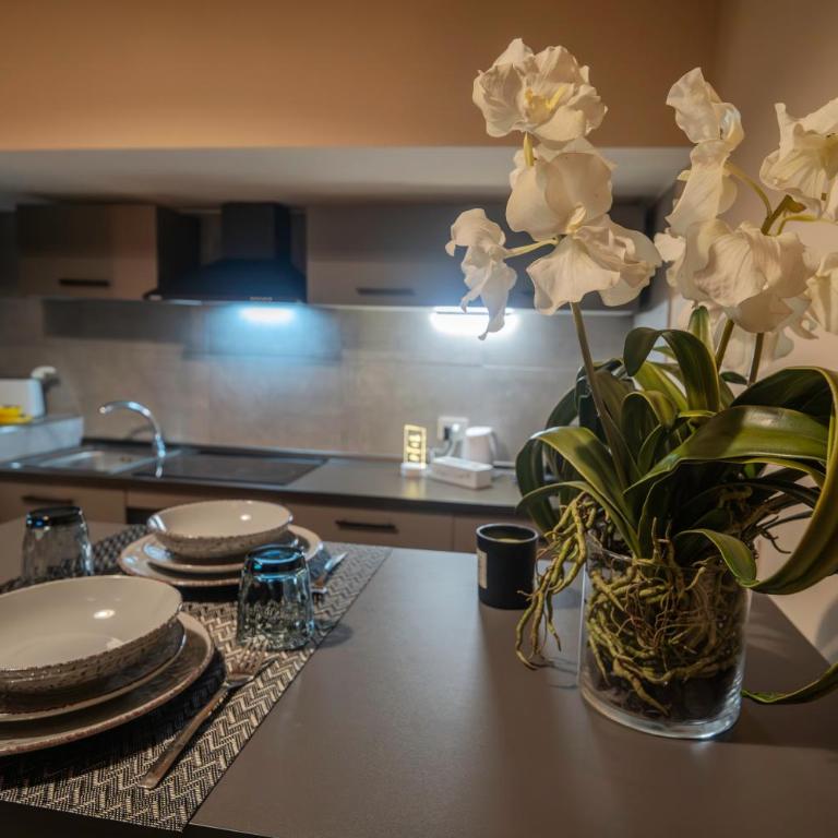 lemon suites - Appartamento Superior con Vista Città - 35