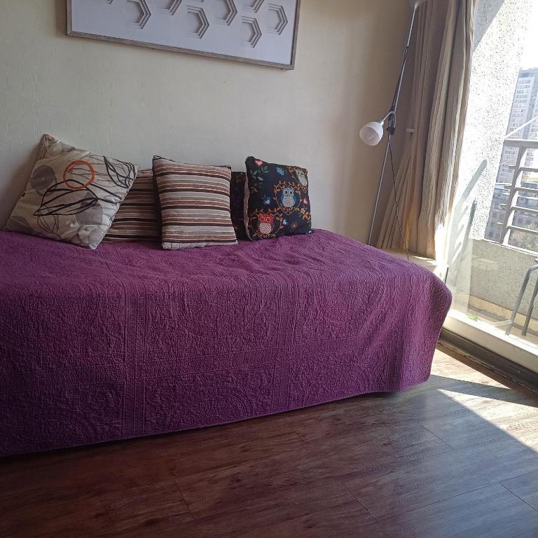 Stgo centro, Departamentos Amoblados Paz - Apartamento de 1 dormitorio (2-3 adultos) - 2