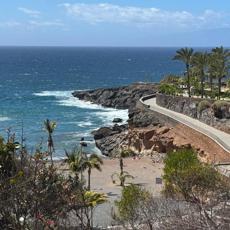 Paraiso Sur & Panoramic Views Apartment, Tenerife - Apartamento con terraza - 11