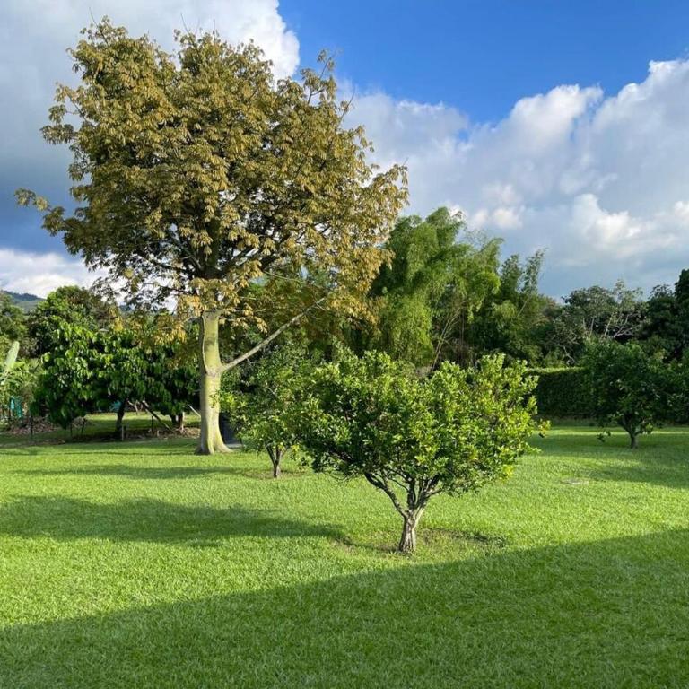 finca en ginebra el eden - Villa with Private Pool - 22