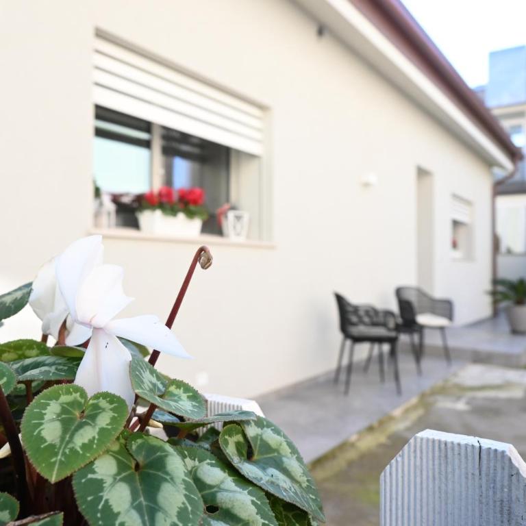 CN005 - Cesenatico, nuova villetta singola con corte esterna - Appartamento con 1 Camera da Letto - 38