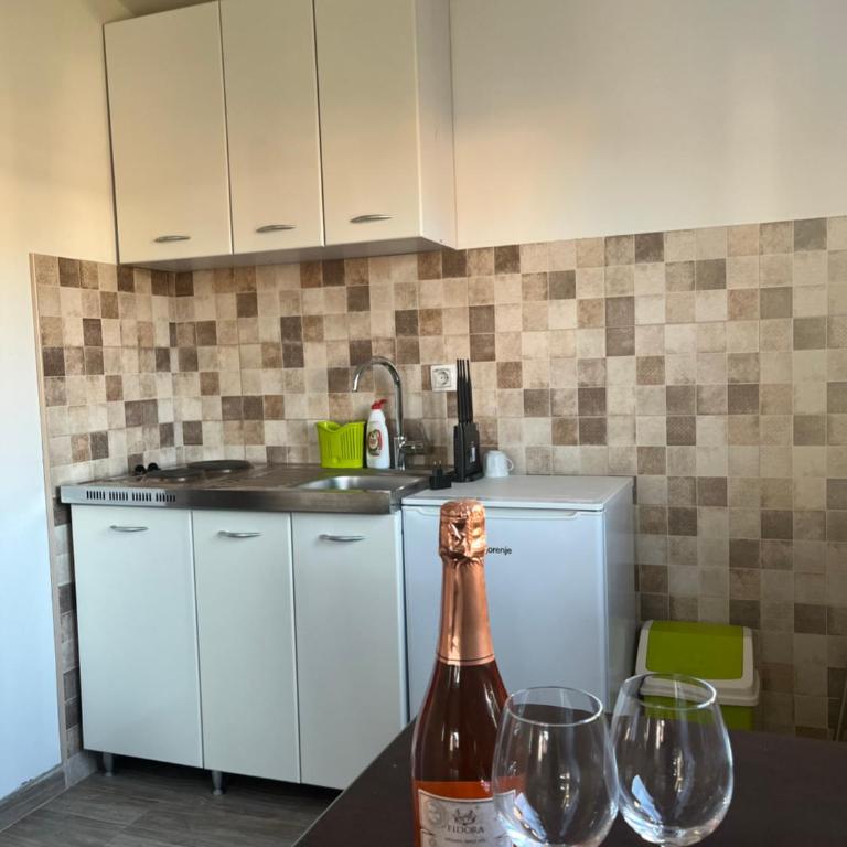 Apartmani Dasic - Apartman sa 1 Spavaćom Sobom - 2
