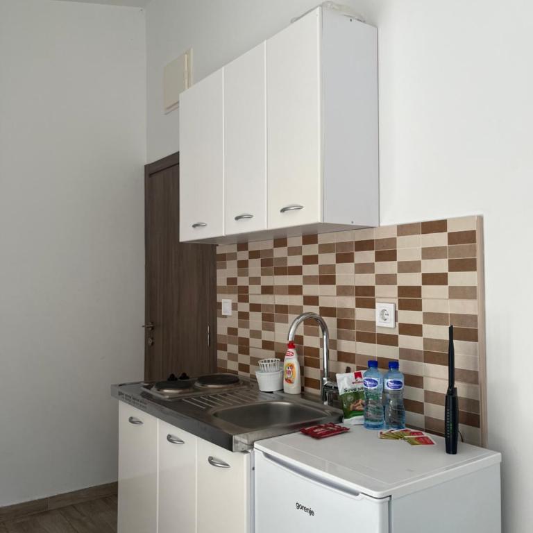 Apartmani Dasic - Apartman sa 1 Spavaćom Sobom - 3